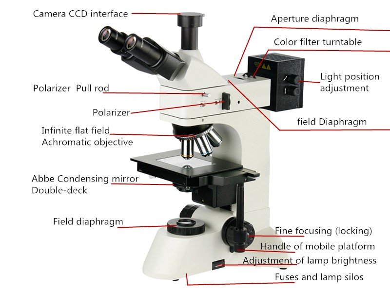 Оптический микроскоп - frwiki.wiki